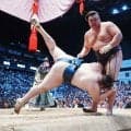 安青錦の優勝パレードが悪天候で中止、安治川部屋が発表