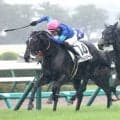 【中山５Ｒ・２歳新馬】「良いものを秘めている」三浦皇成騎手が好感触　アイムオンアロールが好位から押し切る