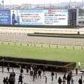 ＪＲＡが１１月３０日の月曜に東京競馬場で「再編競馬」全１２競走を実施　９Ｒにベゴニア賞　１１Ｒに初冬Ｓ
