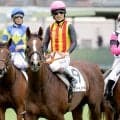 【阪神５Ｒ・２歳新馬】桜花賞馬スターアニスの半妹・ハートノートの初陣は２着　松山弘平騎手「相手が強かった」
