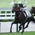 【阪神5R新馬戦結果】リスグラシューの娘リスグロワールが初陣飾る
