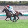 中山７Ｒが大波乱！馬単１８７万６６２０円はＪＲＡ史上最高の配当に　３連単の５２９４万８５２０円は史上２位