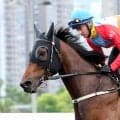 カーインライジング２１連勝！他馬より９キロ重い６１キロも関係なし　単勝１・０倍の断トツ１番人気に応える　２番人気は１０２倍