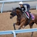 日曜中山競馬場の注目激走馬…中山１１Ｒ紫苑ステークス・Ｇ２