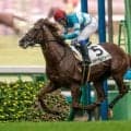 【中山7R】17→15→6人気決着で3連単は歴代2位の5294万8520円！ 馬単は歴代1位の187万6620円