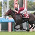 【セントウルＳ】１番人気フリッカージャブが差し切って重賞連勝！ピューロマジックがサマースプリント王者