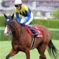 【セントウルＳ】過去５勝の武豊騎手騎乗のママコチャは３着　２年連続２着馬が３戦ぶり芝で存在感
