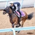 【紫苑Ｓ】春の実績馬撃破したマスターソアラが重賞初Ｖ　秋華賞切符もつかむ
