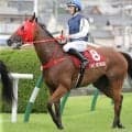 【セントウルＳ】香港の刺客に日本馬の洗礼　ファストネットワークは１５着大敗　馬体重マイナス２８キロ響いたか