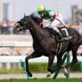 【JRA・WIN5】本日のWIN5は的中174票、配当276万9910円