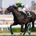 【丹頂S結果】格上挑戦のコーチェラバレーが7馬身差で圧勝