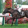【丹頂Ｓ】格上挑戦コーチェラバレーが７馬身差圧勝　「着差はあまり…」横山和生騎手はうれしい初の札幌リーディング確定