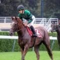【紫苑Ｓ】重馬場で最速末脚のサムシングスイートが秋華賞切符つかむ２着　団野大成騎手「本番でも」