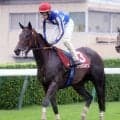 【紫苑Ｓ】樫４着馬リアライズルミナス７着に津村明秀騎手「馬場より他の要因が…」　前走１勝クラス敗戦から反撃ならず　
