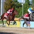 【コリアスプリント】ドラゴンウェルズが海外重賞初挑戦で初制覇　日本調教馬は５勝目　アメリカンステージ２着