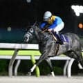 【韓国・コリアスプリント結果】ドラゴンウェルズが海外重賞初V！ 2着アメリカンステージで日本馬ワンツー
