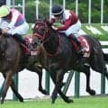 【セントウルS結果】フリッカージャブが人気に応えて重賞連勝！ いざGIへ