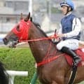 【セントウルＳ】まさかの香港馬惨敗にイプ調教師「数日内に出走するかどうか…」　スプリンターズ参戦は保留