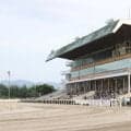 【水沢・ビギナーズC結果】リケアサンバが4馬身差で圧勝 無傷2連勝で重賞V