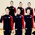 【新体操】「フェアリージャパン」はロス五輪へサバイバル　団体トライアウトを実施　世界選手権銀メダルに３人のニューフェイス
