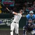阪神　佐藤輝明が３５号アーチ　直近５戦５発の量産体制で本塁打王を独走　甲子園が熱狂　メジャースカウトの前で猛アピール