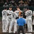 阪神　痛恨の連敗でマジック減らせず　２位巨人に２・５差に迫られる　日曜日の連勝が１１でストップ　佐藤輝の３５号弾は空砲に