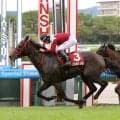 【セントウルＳ】急坂にも対応し３連勝！大一番へ向けまた死角が一つ消えた　フリッカージャブが堂々と大舞台へ