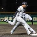 阪神・立石「走ることは当たり前」全力疾走の執念打＆二盗　直近９試合で安打、打率４２１好調