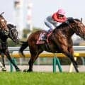 セントライト記念、ローズSなど3重賞/今週の競馬界の見どころ