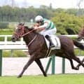 【阪神５Ｒ・２歳新馬】名牝リスグラシューの娘リスグロワールが初陣Ｖ　母とのコンビでＧ１・３勝のレーン騎手も期待「今後も楽しみにできると思う」