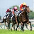 【セントライト記念登録馬】ゴーイントゥスカイなど17頭