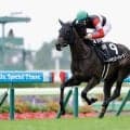 【ローズS登録馬】無敗馬モンローウォークなど13頭