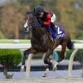 【水沢・ビギナーズC】リケアサンバが4馬身差圧勝で無傷2連勝！山本聡哉「スター候補が誕生したかも」