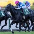【チャレンジC】「大魔神」佐々木主浩オーナーの超良血 グランヴィノスが初タイトル狙う