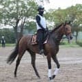 【セントライト記念・浅子の特注馬】前走を見返す度に強いと評価　サノノグレーターが春の実績馬逆転も狙える