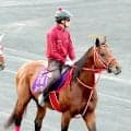 フォーエバーヤング出走のジョッキークラブＧＣがＪＲＡ馬券発売決定　１９日朝５時１５分にＢＣクラシック連覇への前哨戦