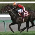 セントライト記念勝ち時計ランキング 「ホッカイドウ競馬の雄」がレースレコードを保持