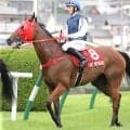 香港馬ファストネットワークまさかの大敗は喉鳴りの再発が影響か？　スプリンターズＳ出走も極めて微妙に　香港ジョッキークラブ
