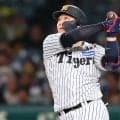 「ベイスターズファンだけど、ホントに心からリスペクトしている」死球を受けた牧秀悟への阪神31歳内野手の対応に野球ファン注目「実力も所作も選手の見本になる人材」
