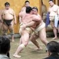横綱・大の里　大関・琴桜に１６勝４敗「東京で久々に優勝したい」…二所ノ関一門連合稽古