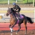 【ローズＳ・松ケ下の特注馬】復帰戦でもタイセイボーグに期待　１週前追いからは不安なし