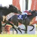 ０７年ジャパンＣなどＧ１・３勝馬アドマイヤムーン死す　ダーレージャパンが公式Ｘで発表