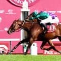 日本勢の強力ライバル絶好調　「これは凱旋門賞に向けて最高の準備だ」ダリズ連覇へ前哨戦完勝
