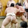 大関・琴桜　横綱・大の里と白熱の連続２０番、４勝１６敗と負け越すも前に出続け「勝ちにつながる相撲を取れた」と充実
