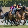 【先週のJRA抹消馬】全きょうだいにGI馬が2頭いるディーンズリスター、オークス馬の仔スタードメイソンなど