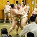 大の里「久々に優勝したい」琴桜に１６勝４敗で手応え、１年ぶり賜杯へ着々