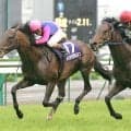 「すごくいい思いしかない」「最後に勝ててよかった」岩田康誠騎手がコンビでＧ１を２勝のアドマイヤムーンを追悼