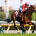 【セントライト記念想定騎手】ゴーイントゥスカイは武豊騎手、バステールは川田将雅騎手