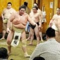 琴桜は大の里に４勝１６敗も内容に手応え　師匠も評価「伸び悩みを断ち切るためには」