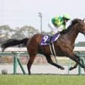 高松宮記念連覇のサトノレーヴが電撃引退　秋のＧ１開幕前に決断した理由とは…　社台ＳＳで種牡馬入りへ